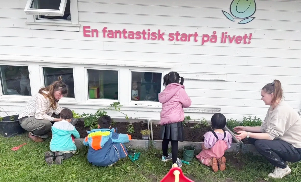 f&oslash;r og etter: Det startet med tomme plantekasser, men med litt innsats s&aring; ble det frodig og gr&oslash;nt. Godt resultat, og en l&aelig;rerik prosess.  Foto: privat